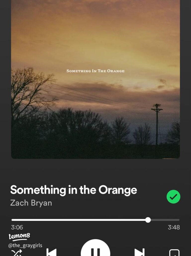 Something in the Orange Lyrics – Deep Meaning and Emotional Breakdown