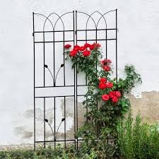 Wrought Iron Trellis: A Strong and Stylish Support for Climbing Plants